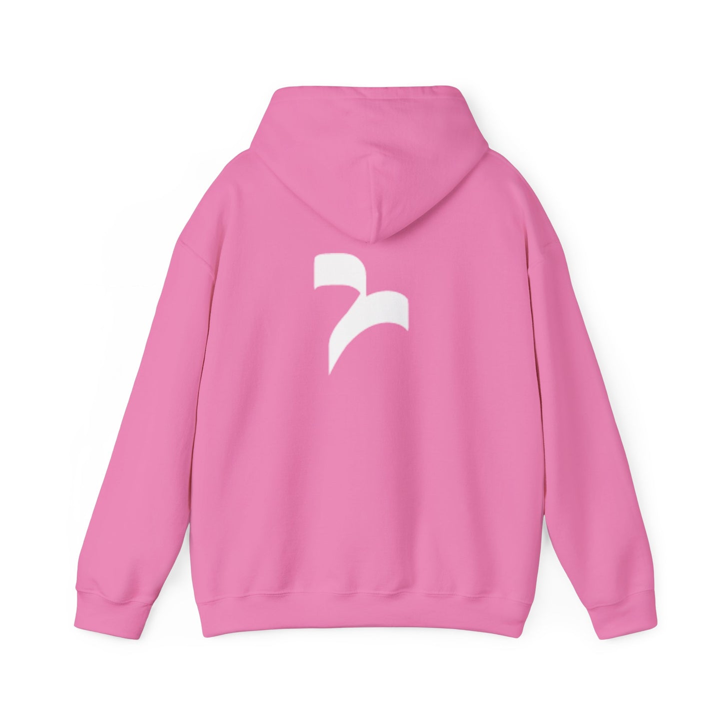 Revelisa Unisex Hoodies