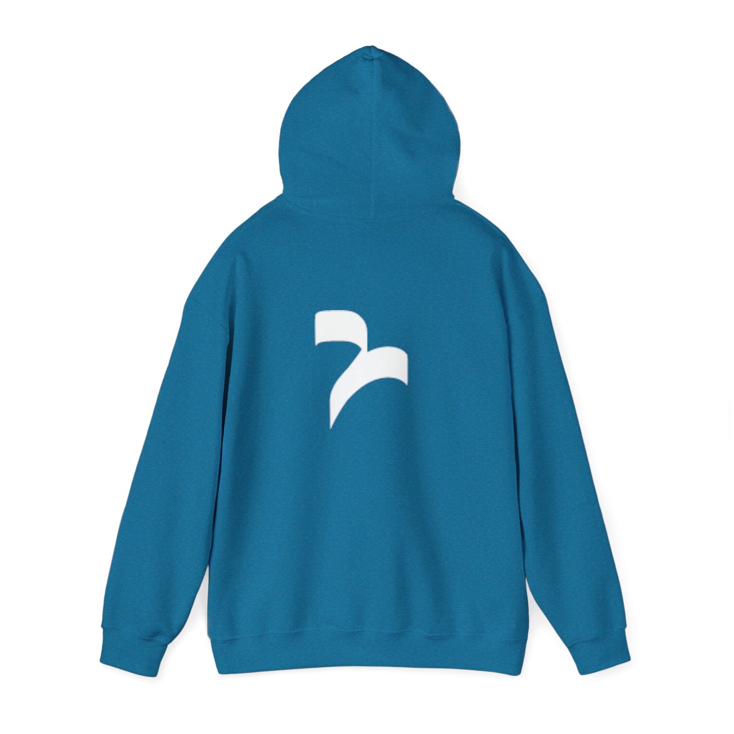 Revelisa Unisex Hoodies