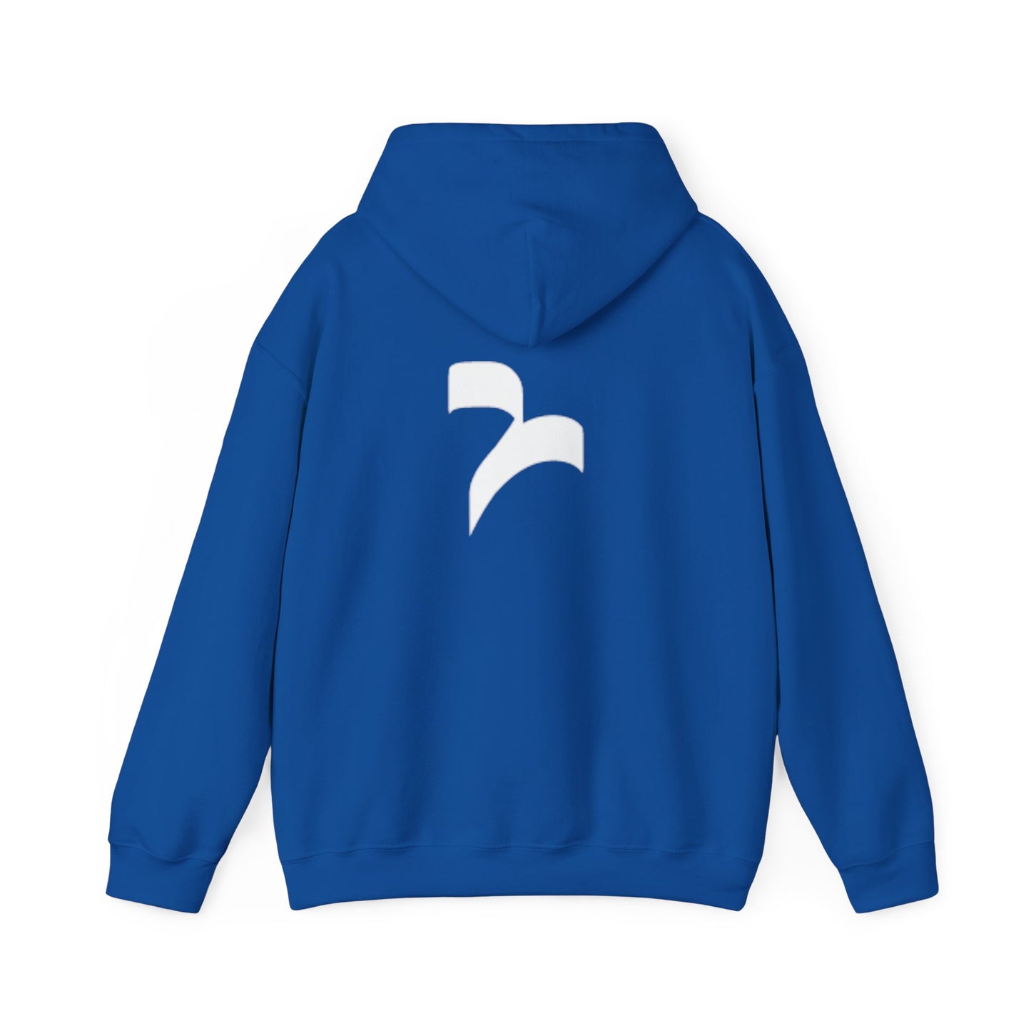 Revelisa Unisex Hoodies
