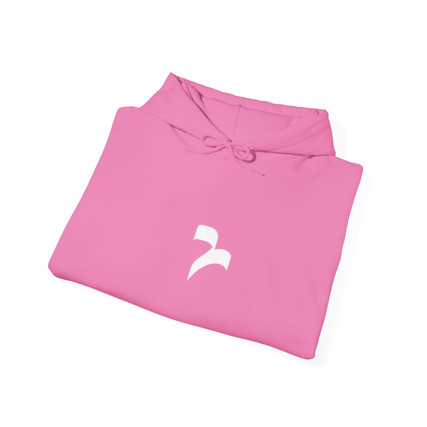 Revelisa Unisex Hoodies
