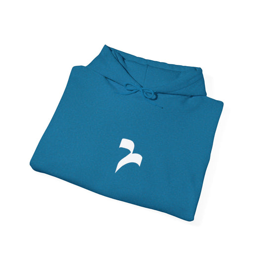 Revelisa Unisex Hoodies
